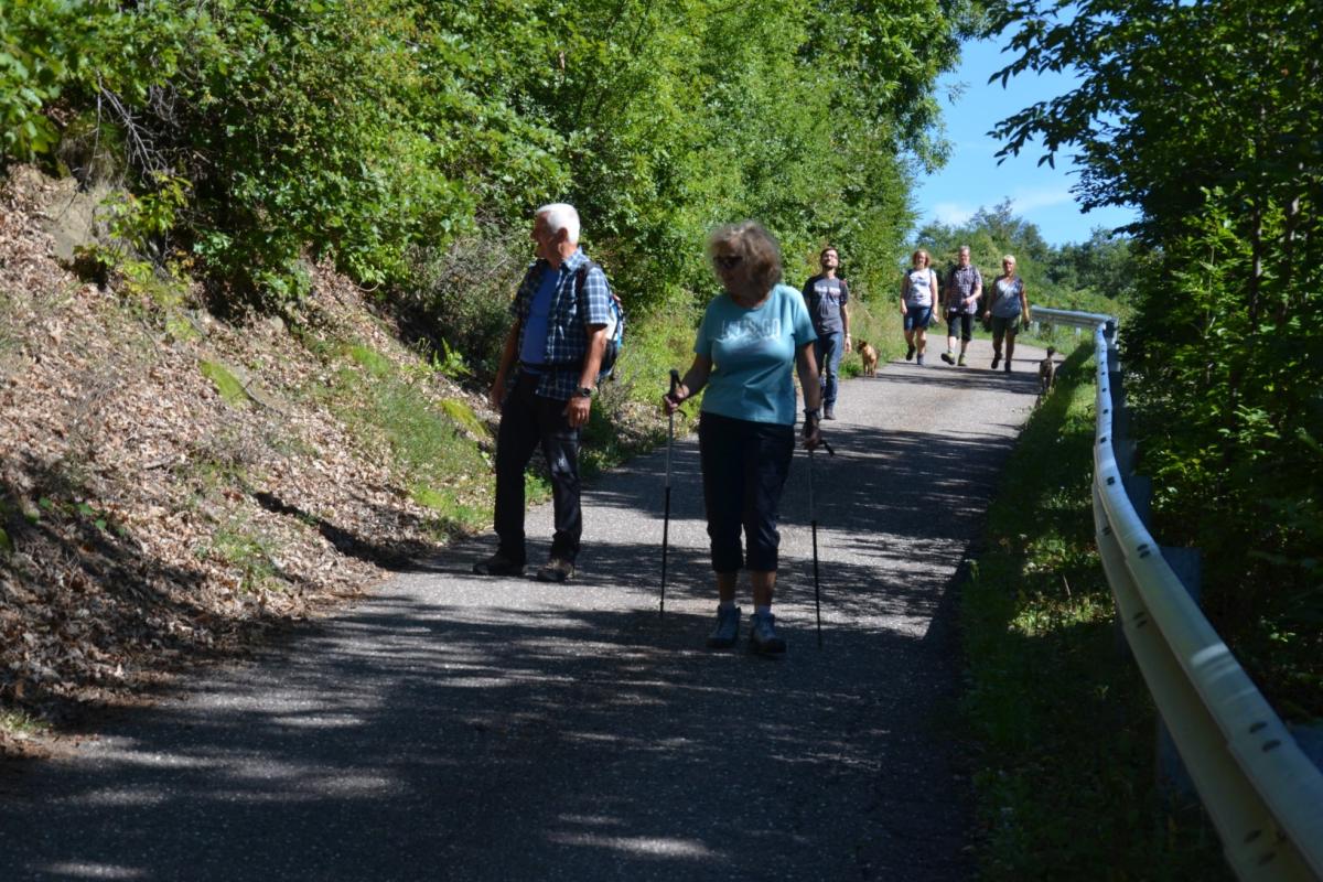 Rielingerhof 03.09.2019